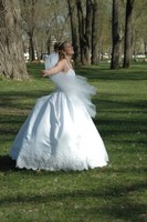 Highlight for Album: Wedding